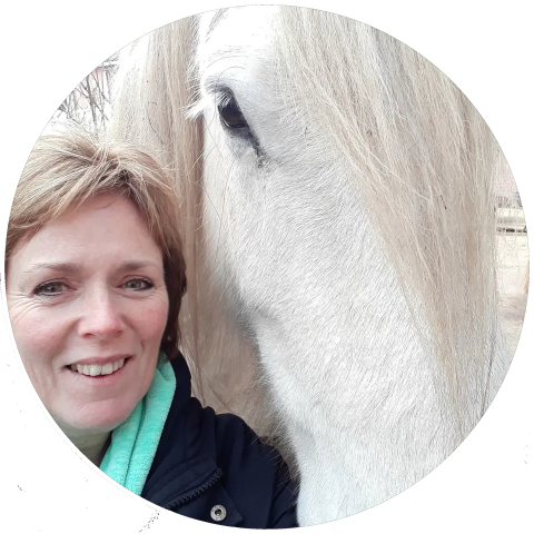 Therapie met paarden Praktijk voor Reflectie en Therapie