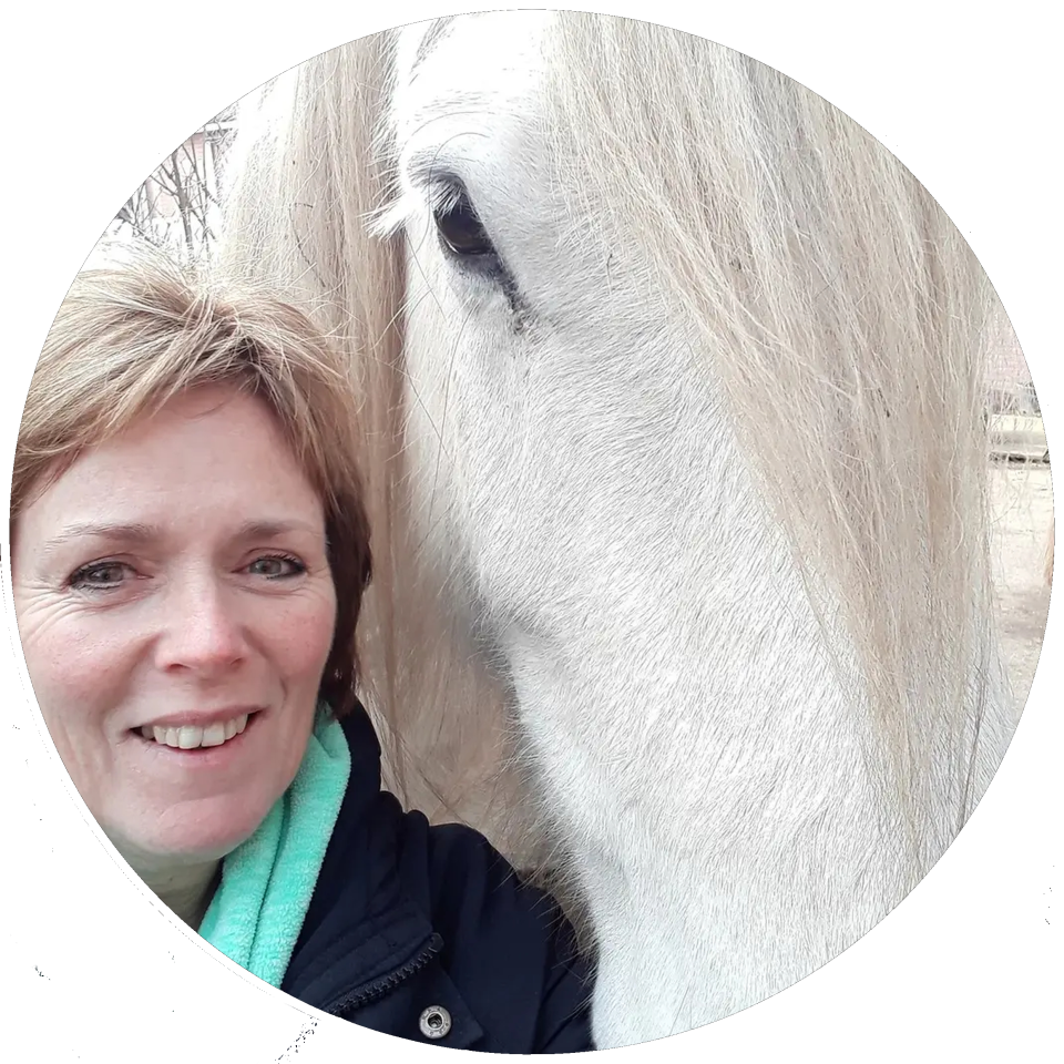 Therapie met paarden Praktijk voor Reflectie en Therapie
